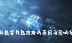 最新数字钱包跑路的原因与影响分析